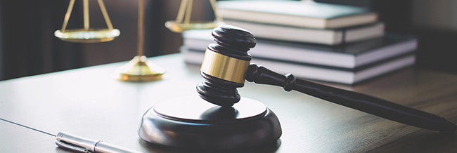 Doctorado en Derecho 