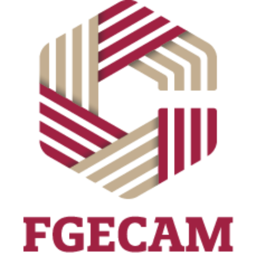 FGECAM