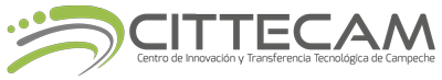 cittecam