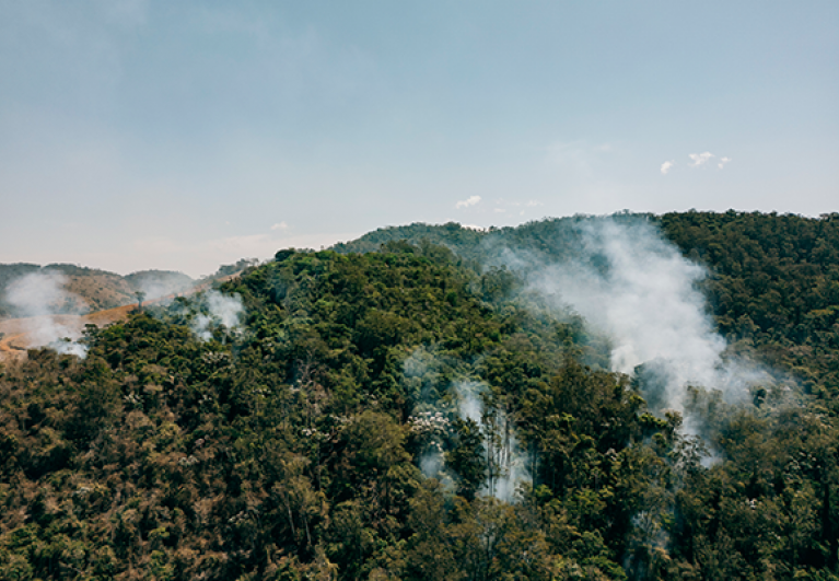 incendio-forestal-edit